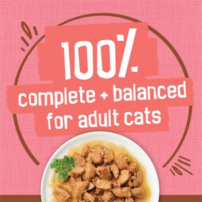 Image showing  Extra Gravy Wet Cat Food Chunky With Salmon in Savory Gravy, 5.5 oz.