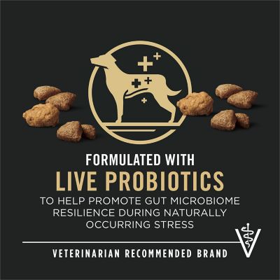 Image showing  Complete Essentials Shredded Blend Salmon and Rice Dog Food Dry Formula with Probiotics for Dogs