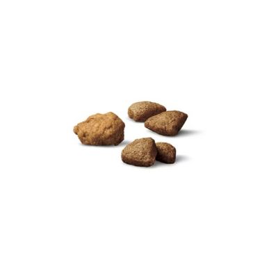 Image showing  Complete Essentials Shredded Blend Salmon and Rice Formula Dry Dog Food