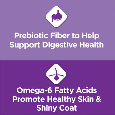 Image showing  Gentle Sensitive Stomach and Skin Turkey Flavor Dry Cat Food, 13 lb. Bag