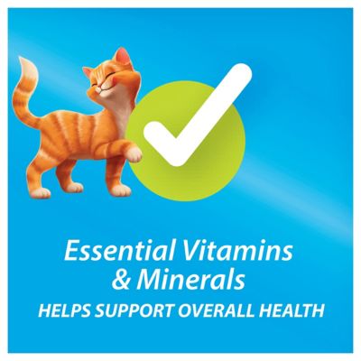 Image showing 6 th Purina Kit & Kaboodle Adult Indoor/Outdoor Original Poultry, Liver and Ocean Fish Formula Dry Cat Food