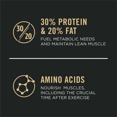 Image showing  Sport All Life Stages 30/20 Performance Chicken and Rice Formula Dry Dog Food