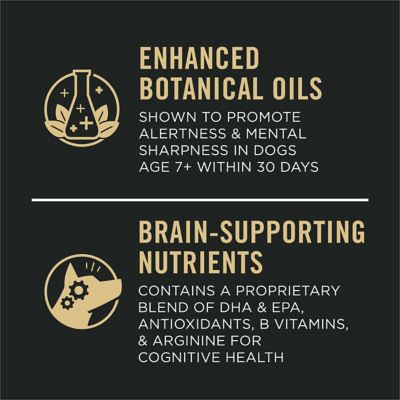 Image showing  Bright Mind Chicken & Rice Formula Senior Dry Dog Food