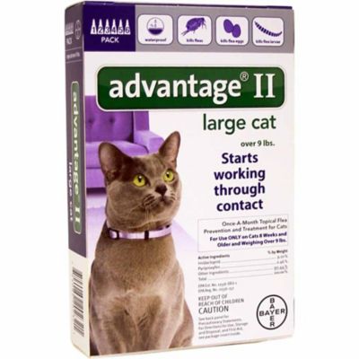 Advantage II Flea Prevention and Topical Treatment for Cats 9+ lb., 6 Month Supply