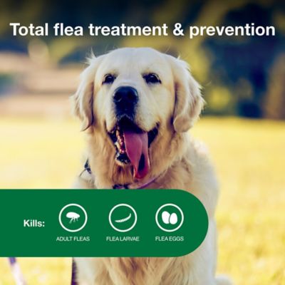 Image showing  II Flea Topical Treatment for Dogs 21-55 lb., 6 Month Supply