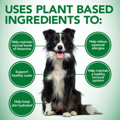 Image showing  Healthy Coat Shed and Itch Relief Supplement Tablets for Dogs, 50 ct.