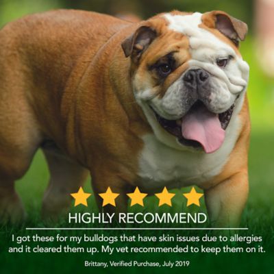 Image showing  Healthy Coat Shed and Itch Relief Supplement Tablets for Dogs, 50 ct.