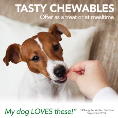 Image showing  Aspirin-Free Aches and Pains Chewable Supplement Tablets for Dogs, 50 ct.