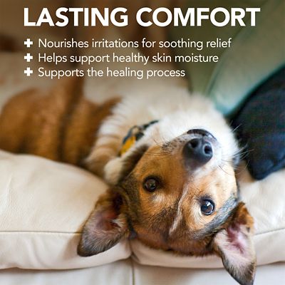 Image showing  Hot Spot Shampoo 16 oz.