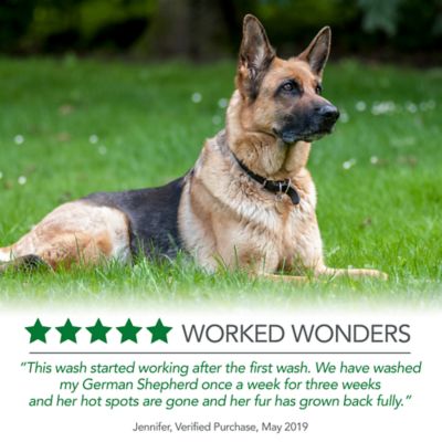 Image showing  Hot Spot Shampoo 16 oz.