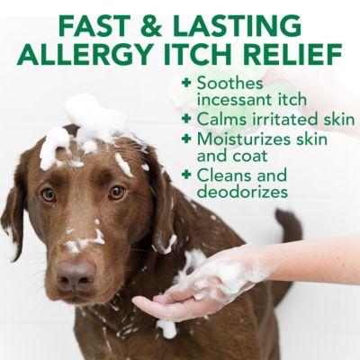 Image showing  Allergy Itch Relief Shampoo for Dogs, 16 oz.