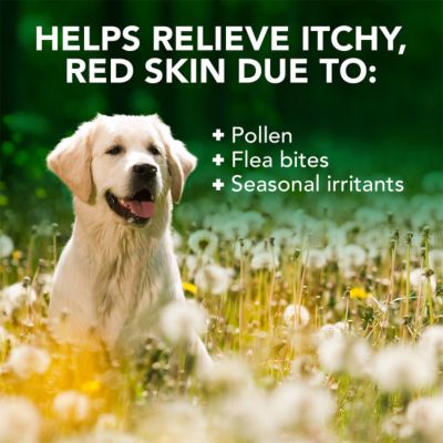 Image showing  Allergy Itch Relief Shampoo for Dogs, 16 oz.