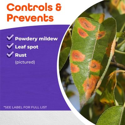 Image showing 5 th Bonide 4 lb. Ready-to-Use Sulfur Plant Fungicide Micronized Spray or Dust for Organic Gardening, Controls Common Diseases