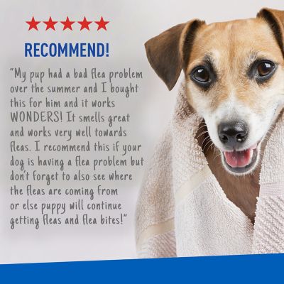 Image showing 6 th Adams Plus Lightly Scented Flea and Tick Shampoo with Precor for Cats, 12 oz.