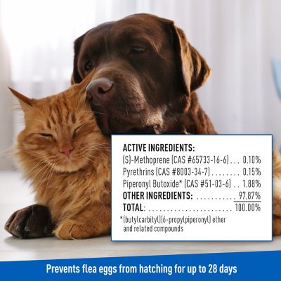 Image showing 7 th Adams Plus Lightly Scented Flea and Tick Shampoo with Precor for Cats, 12 oz.