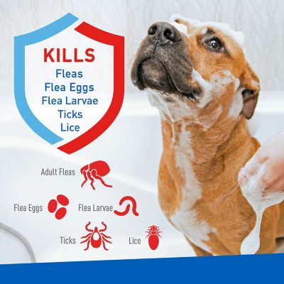 Image showing 8 th Adams Plus Lightly Scented Flea and Tick Shampoo with Precor for Cats, 12 oz.