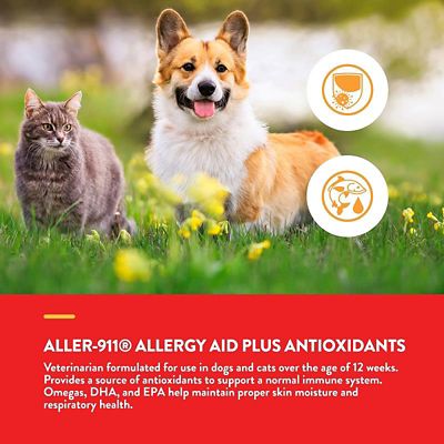 Image showing  Aller-911 Skin and Coat Allergy Aid Tablets for Cats and Dogs, 60 ct.