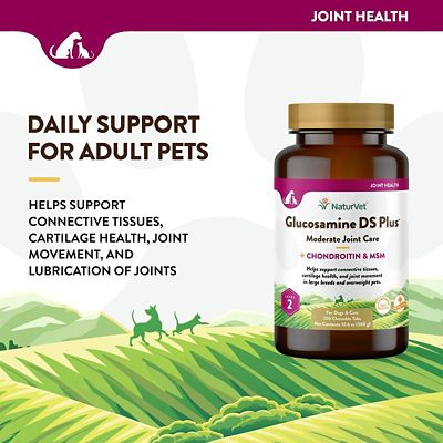 Image showing  Glucosamine DS Plus Level 2 Joint Support Chewable Tablets for Dogs