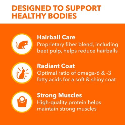 Image showing  ProActive Health Hairball Care Recipe Dry Cat Food