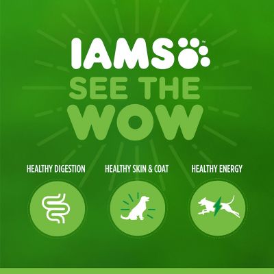 Image showing 6 th Iams ProActive Health Hairball Care Recipe Dry Cat Food