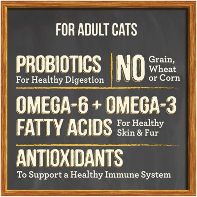 Image showing  Purrfect Bistro Grain Free Real Chicken & Sweet Potato Recipe Dry Cat Food