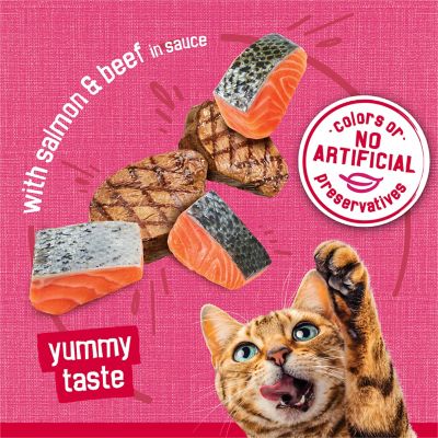 Image showing 7 th Purina Friskies Prime Filets With Salmon & Beef in Sauce Wet Cat Food, 5.5 oz.