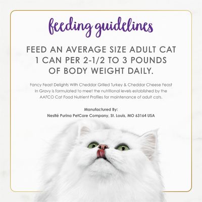 Image showing 6 th Purina Fancy Feast Delights Grilled Turkey and Cheese Canned Cat Food