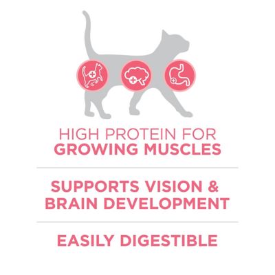 Image showing  Healthy Kitten +Plus Indoor/Outdoor High-Protein Dry Cat Food, 7 lb. Bag