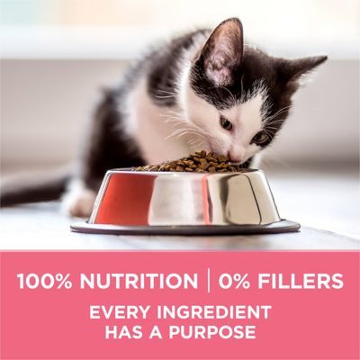 Image showing  Healthy Kitten +Plus Indoor/Outdoor High-Protein Dry Cat Food, 7 lb. Bag