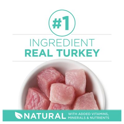 Image showing  Adult Indoor/Outdoor Sensitive Skin and Stomach Natural Turkey Recipe Dry Cat Food
