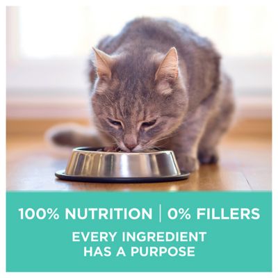 Image showing  Adult Indoor/Outdoor Sensitive Skin and Stomach Natural Turkey Recipe Dry Cat Food