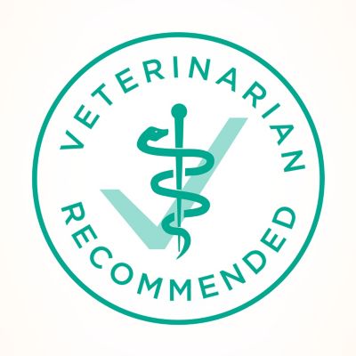 Image showing 6 th Purina ONE Adult Indoor/Outdoor Sensitive Skin and Stomach Natural Turkey Recipe Dry Cat Food