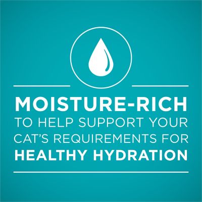 Image showing  Natural True Instinct Chicken Recipe in Gravy Wet Cat Food, 3 oz.