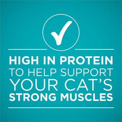 Image showing  Natural True Instinct Chicken Recipe in Gravy Wet Cat Food, 3 oz.