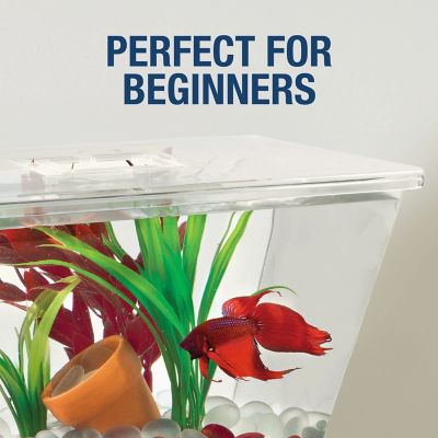 Image showing 8 th Tetra Led Betta Tank, 1 gal.