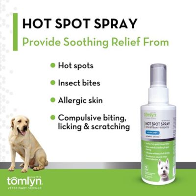 Image showing 3 th Tomlyn Allercaine Hot Spot Spray for Dogs, 4 oz.