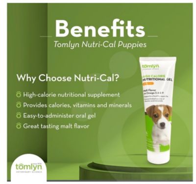 Image showing  High Calorie Nutritional Supplement for Puppies, 4.25 oz.