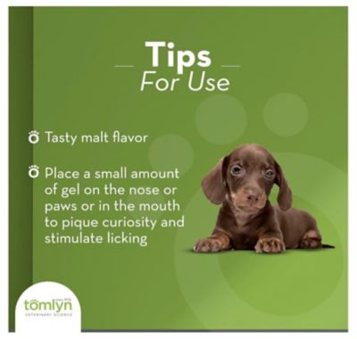 Image showing 6 th Tomlyn High Calorie Nutritional Supplement for Puppies, 4.25 oz.