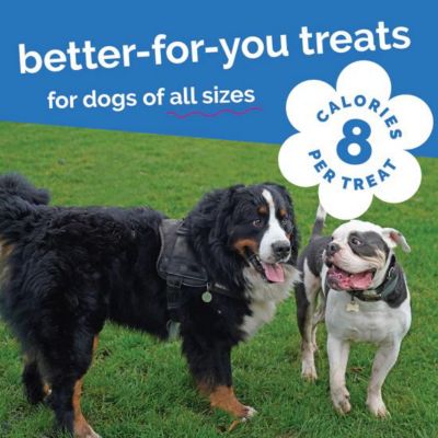 Image showing  Baked Pumpkin Blueberry Dog Treats, 7 oz.