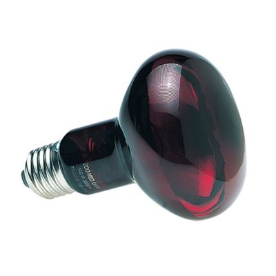 Image showing  Nocturnal Infrared Heat Lamp, 100W