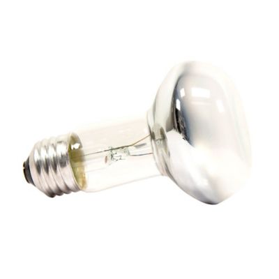 Image showing 1 th Zoo Med Repti Basking Spot Lamp, 75W