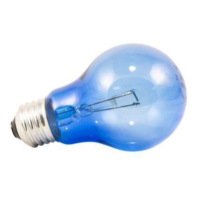 Image showing  Daylight Blue Reptile Bulb, 100W