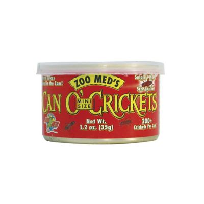Image showing  Can O' Mini Size Crickets