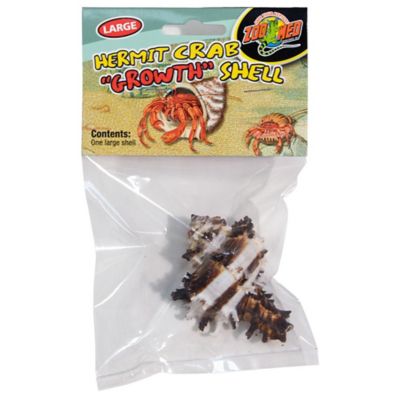 Zoo Med Hermit Crab Growth Shells, 1-Pack, Large