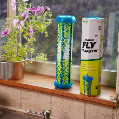 Image showing  TrapStik for Flies