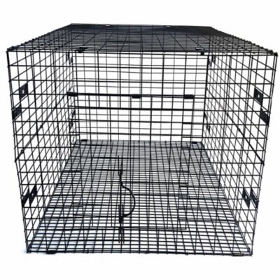 Dumor 24 In Rabbit Cage At Tractor Supply Co