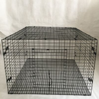 dumor rabbit cage