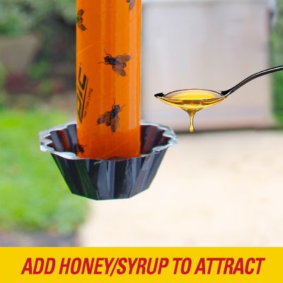 Image showing  Fly Stick Trap