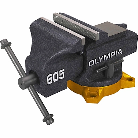 Olympia Tools 5 in. Steel Bench Vise