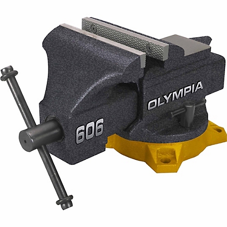 Olympia Tools 6 in. Bench Vise